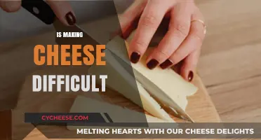 Is Making Cheese Difficult? A Beginner's Guide to Cheesemaking
