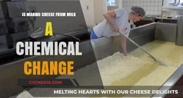 Is Cheese Making a Chemical Change? Unraveling Milk's Transformation