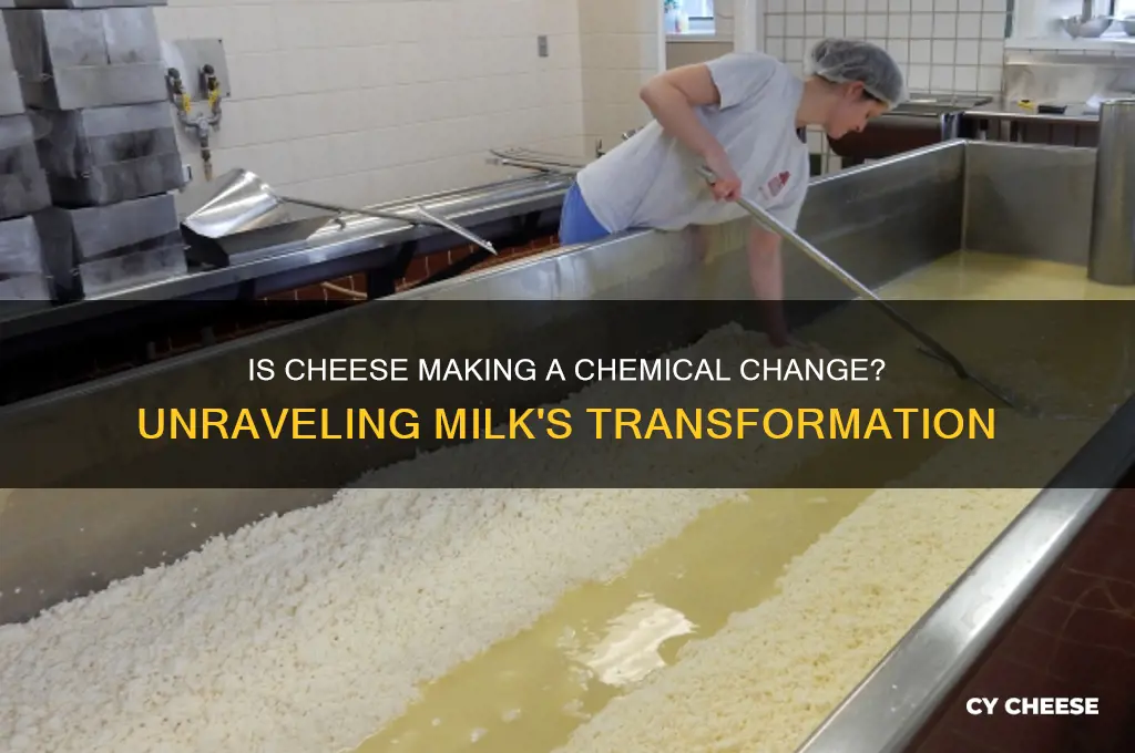 is making cheese from milk a chemical change