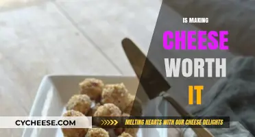 Is Homemade Cheese Worth the Effort? A Cost-Benefit Analysis