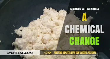 Cottage Cheese Chemistry: Is Homemade Curdling a Chemical Change?