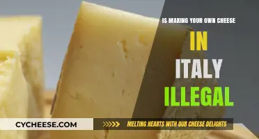 Is Homemade Cheese Production Legal in Italy? Uncovering the Truth