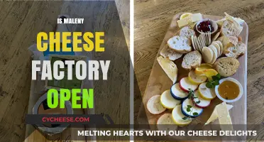 Is Maleny Cheese Factory Open? Visiting Hours and Tips