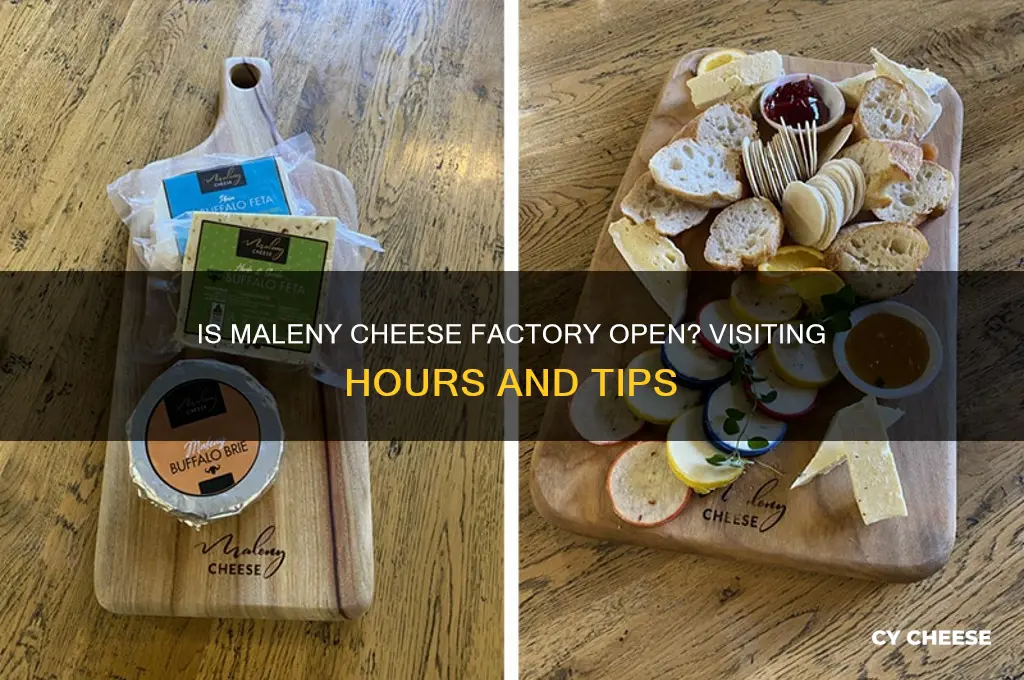 is maleny cheese factory open