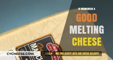 Is Manchego a Good Melting Cheese? Exploring Its Melting Qualities