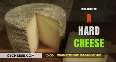 Is Manchego a Hard Cheese? Exploring Its Texture and Characteristics