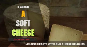 Is Manchego Soft? Debunking the Texture of This Spanish Cheese