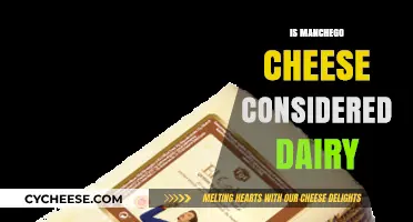Is Manchego Cheese Dairy? Exploring Its Ingredients and Classification