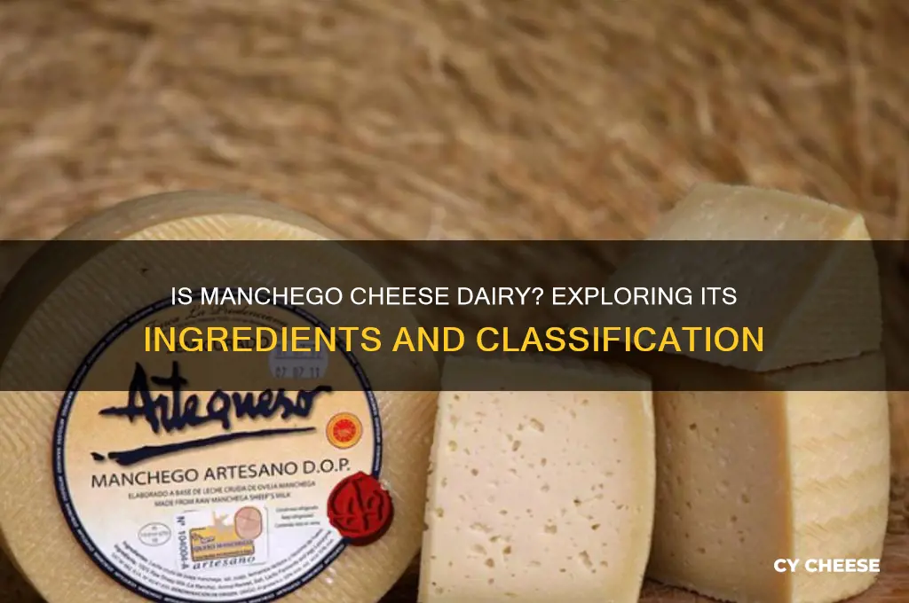 is manchego cheese considered dairy