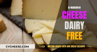 Is Manchego Cheese Dairy-Free? Understanding This Spanish Cheese
