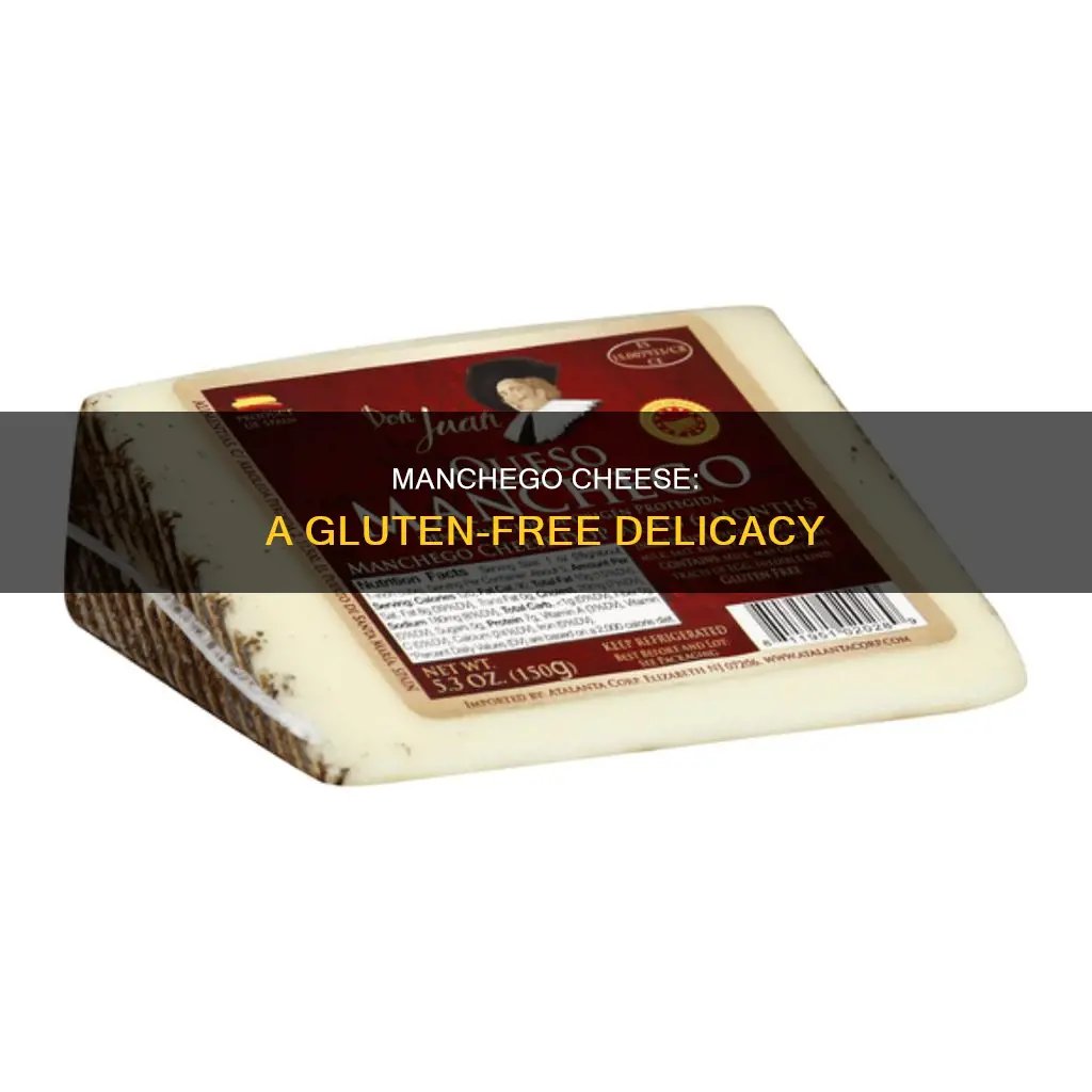 is manchego cheese gluten free
