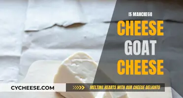 Manchego Cheese: Is It Goat Cheese or Not?