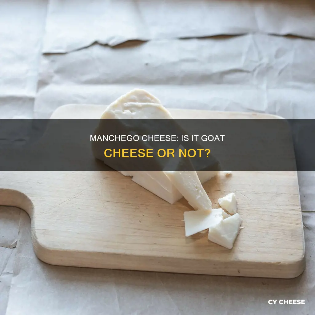 is manchego cheese goat cheese