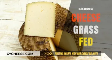 Is Manchego Cheese Grass-Fed? Uncovering the Truth Behind Its Production