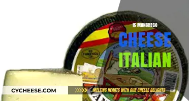 Is Manchego Cheese Italian? Unraveling the Spanish vs. Italian Cheese Myth