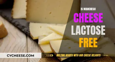 Cheese Conundrum: Is Manchego Lactose-Free?
