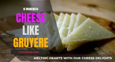 Manchego and Gruyere: Similar Cheeses, Different Origins