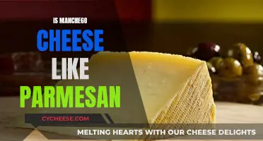 Manchego and Parmesan: What Sets Them Apart?