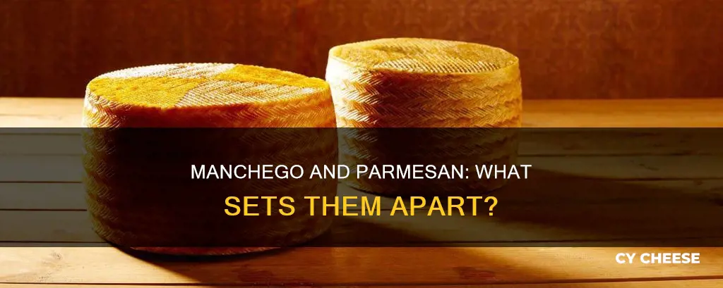 is manchego cheese like parmesan