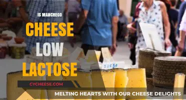 Is Manchego Cheese Low Lactose? A Guide for Cheese Lovers