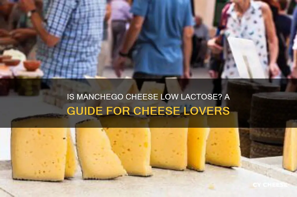 is manchego cheese low lactose
