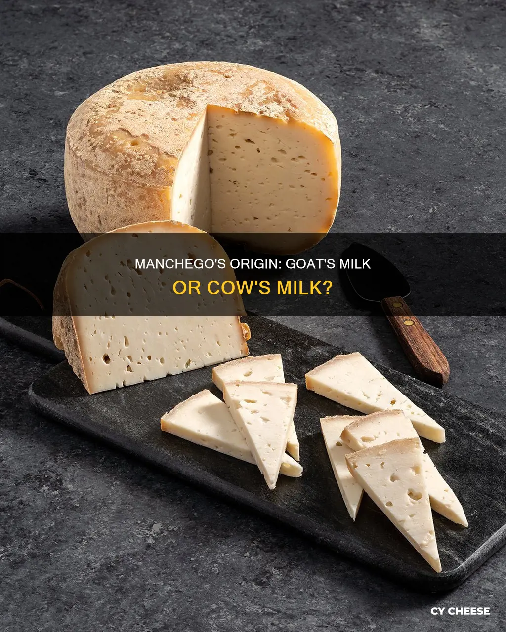 is manchego cheese made from goat