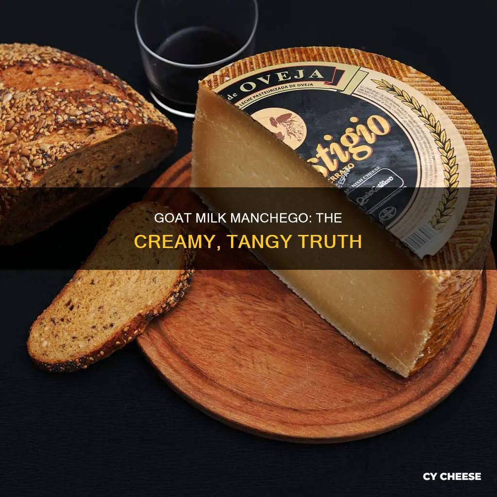 is manchego cheese made from goat