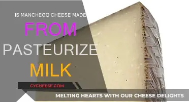 Manchego's Origin: Pasteurized Milk or Not?