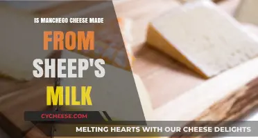 Sheep's Milk: The Heart of Manchego's Flavor