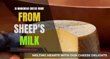 Sheep's Milk Manchego Cheese: The Authentic Spanish Flavor