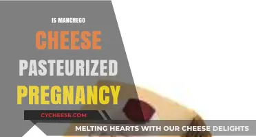 Is Manchego Cheese Pasteurized? Pregnancy Safety Guide for Cheese Lovers