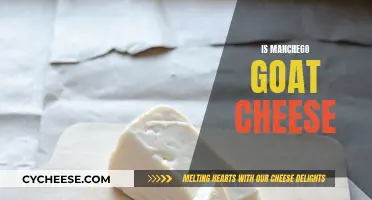 Manchego's Majestic Goat Cheese: A Spanish Delicacy Unveiled