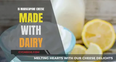Marscapone Cheese: A Dairy Delight or Alternative Option?