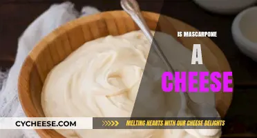 Is Mascarpone a Cheese? Unraveling the Creamy Italian Mystery