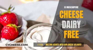 Mascarpone Cheese: Is It Dairy-Free or Not?
