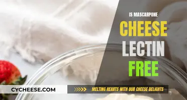 Lectin-Free Mascarpone Cheese: What You Need to Know