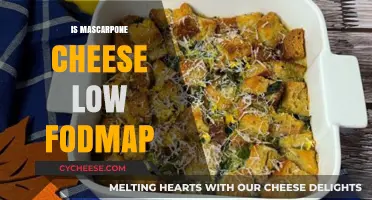 Is Mascarpone Cheese Low FODMAP? A Diet-Friendly Guide