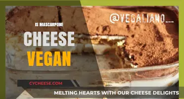 Is Mascarpone Cheese Vegan? Exploring Dairy-Free Alternatives and Facts