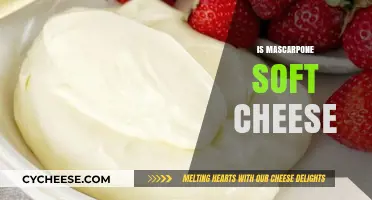 Is Mascarpone Soft Cheese? Exploring Its Texture and Culinary Uses