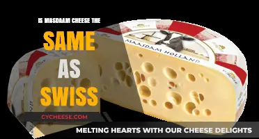 Masdaam and Swiss Cheese: What's the Difference?