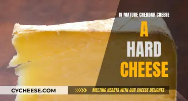 Mature Cheddar: Soft or Hard? Unraveling the Mystery