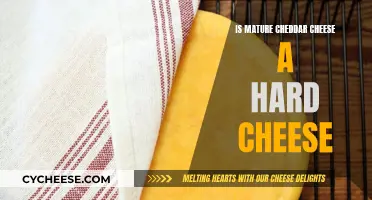 Mature Cheddar: Hard or Soft Cheese?