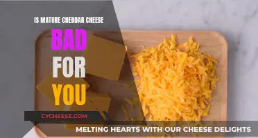 Mature Cheddar's Dark Side: Unveiling the Health Risks