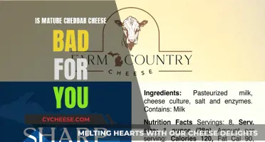 Mature Cheddar Cheese: Healthy or Harmful?