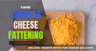 Mature Cheddar's Fat Content: Unveiling the Creamy Truth