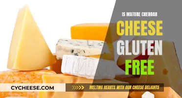 Gluten-Free Goodness: Is Mature Cheddar Cheese a Safe Bet?