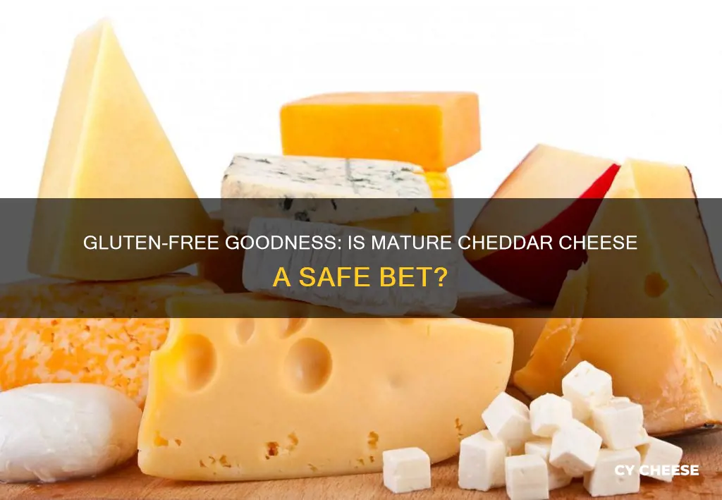 is mature cheddar cheese gluten free