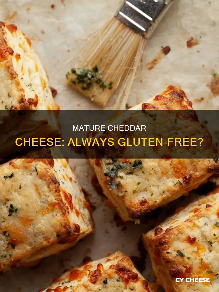 is mature cheddar cheese gluten free