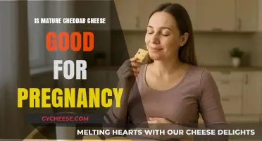 Pregnancy and Mature Cheddar: Benefits, Risks, and Safe Consumption Tips