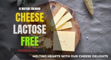 Mature Cheddar's Lactose Profile: A Tasty, Dairy-Free Adventure